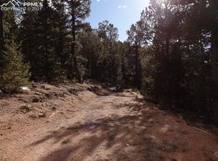 81 Haven Rd, Divide, CO 80814