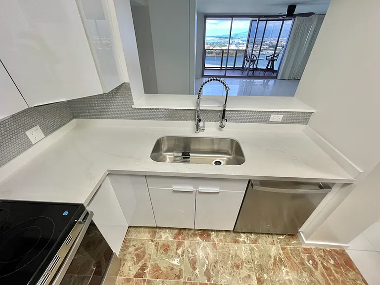 415 South St #2903 — Photo 10