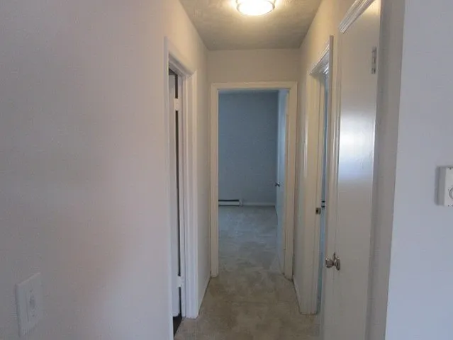 3156 Azalea Garden Rd #3 — Photo 10