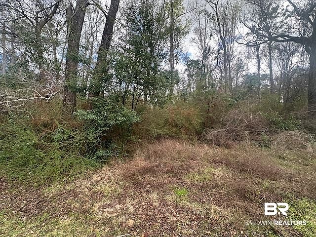 2nd image of 0 Jessie Rd
