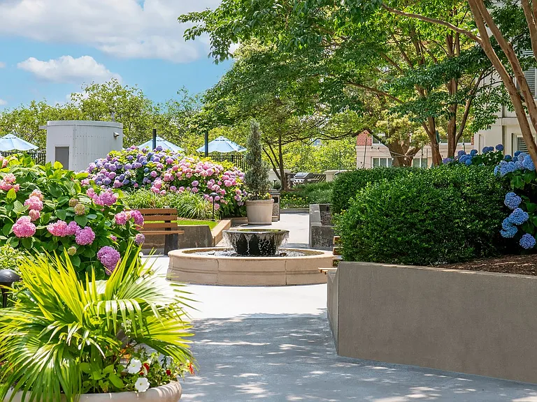The Promenade at Harbor East — Photo 27