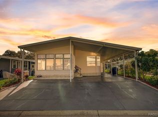 34120 Brown Byu, Wesley Chapel, FL 33543