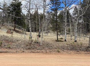 196 Pinon Ln, Florissant, CO 80816