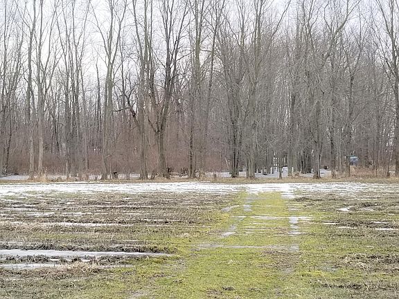 3rd image of 66985 County Road 376