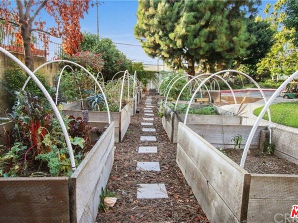 los-angeles-california-20431103 picture