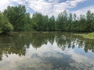 22660 W Burt Rd, Brant, MI 48614