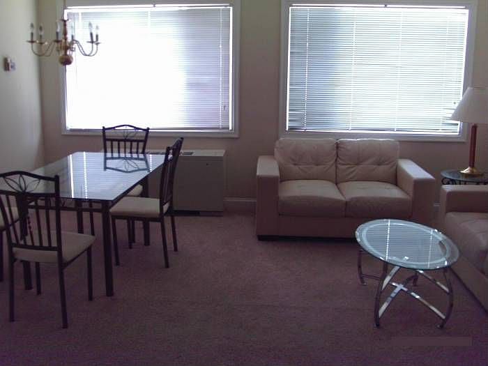 Living and Dining Room