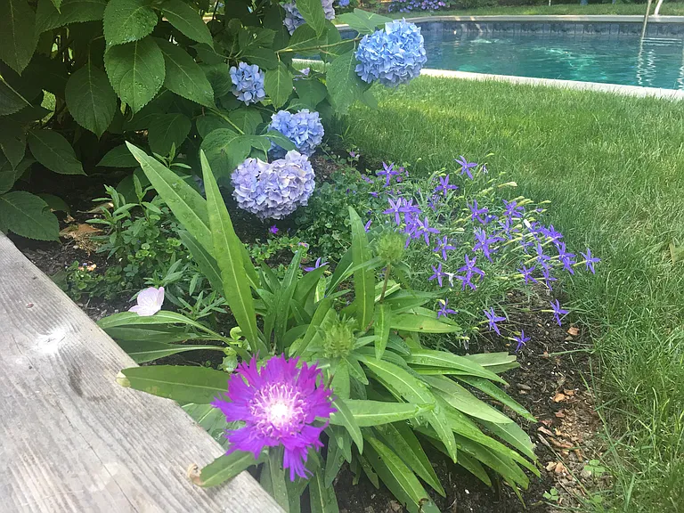 415 Seven Ponds Towd Rd — Photo 15