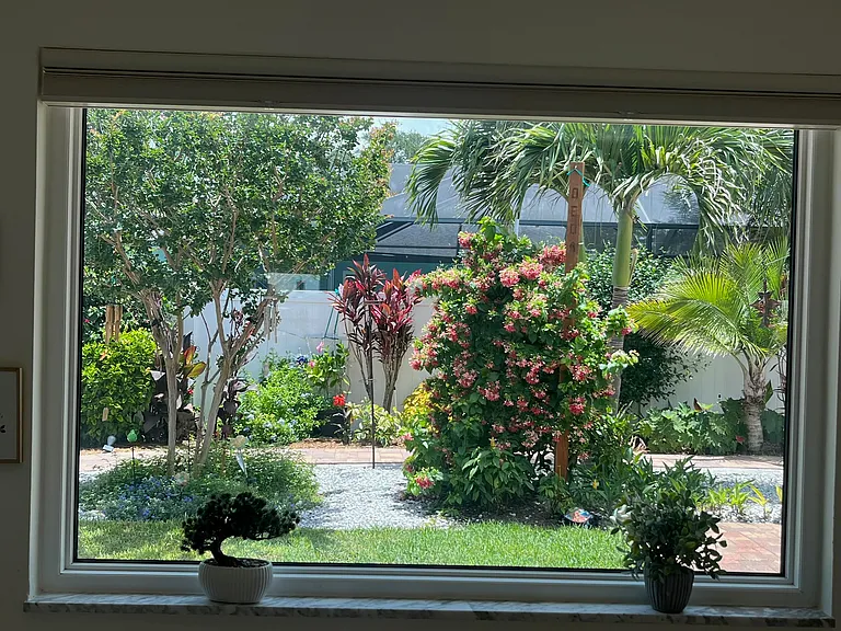 Dining room window
