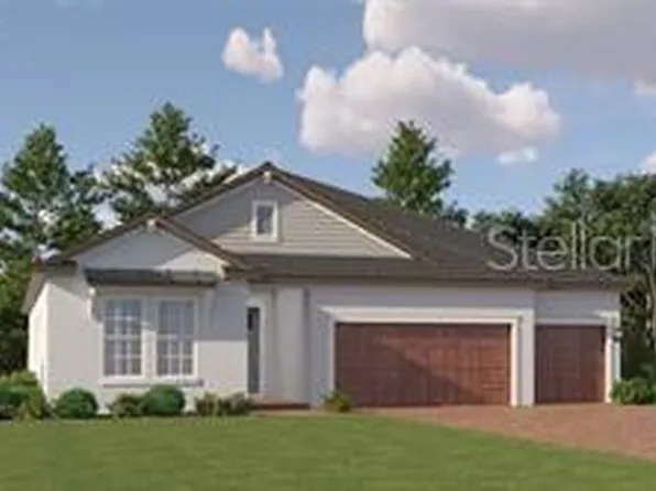 9518 Minnow Ray Dr, Land O Lakes, FL 34638