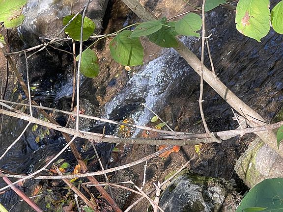 2nd image of 0 Hunting Creek Rd Lot 4