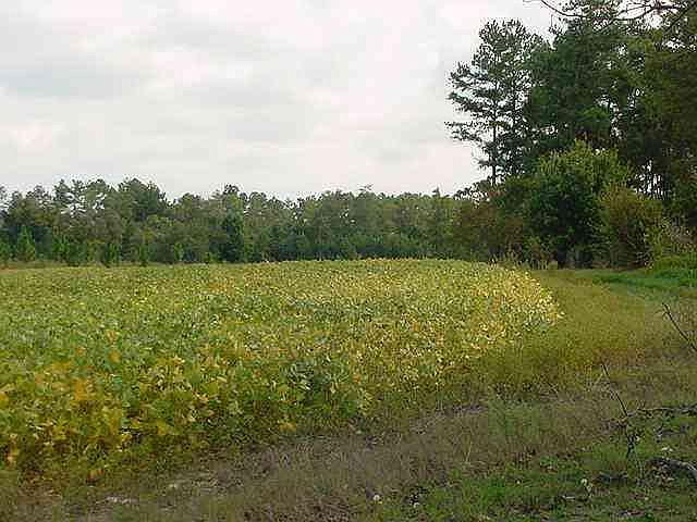 2nd image of 1308 N US Hwy 15/501