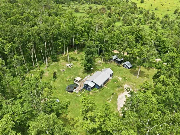 7028 Barney Rd, Alanson, MI 49706