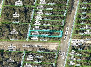 00 Treiman Blvd, Webster, FL 33597