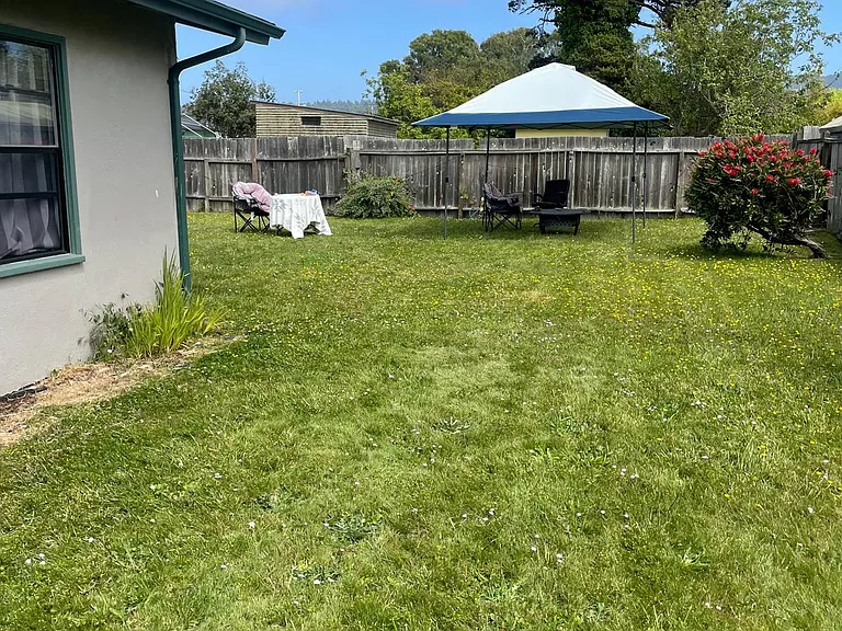 Sunny Spacious Yard Available