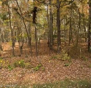 0 Mount Lebanon Rd, Troy, NC, 27371