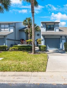 4238 Brentwood Park Cir, Tampa, FL, 33624