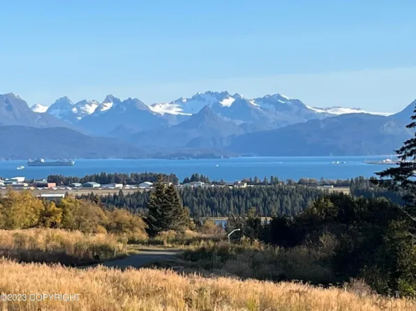 750 Sanjay Ct, Homer, AK 99603