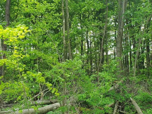 0 Summer Crest Dr Lot 8, Galena, OH 43021