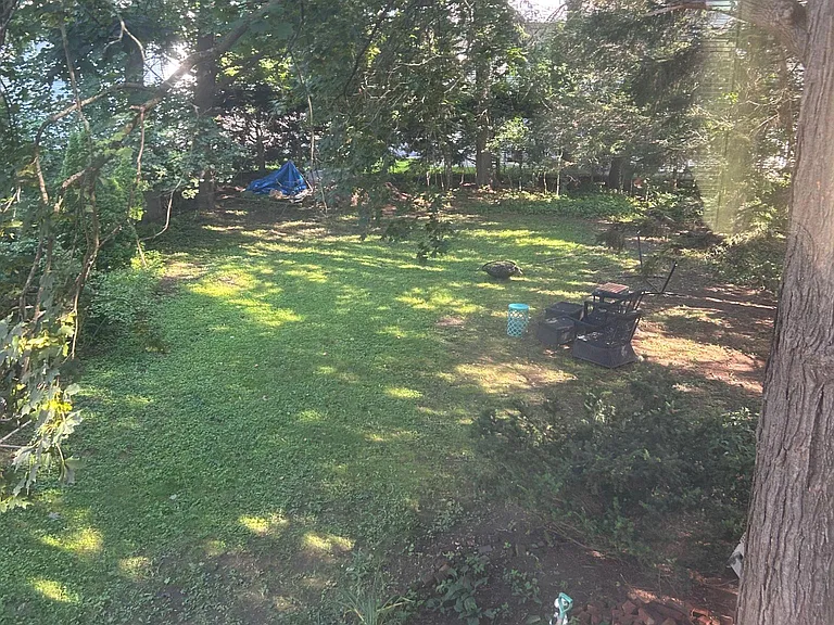 beautful backyard
