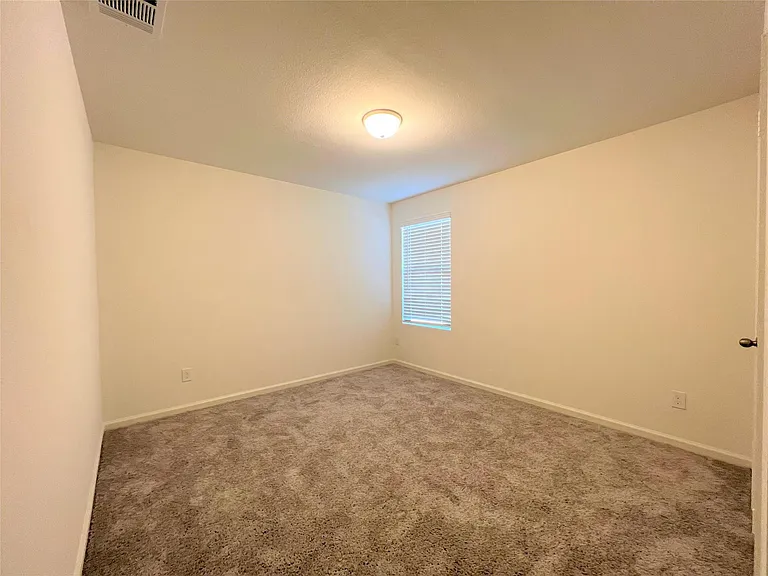 1036 Lacebark Pine Ln — Photo 15