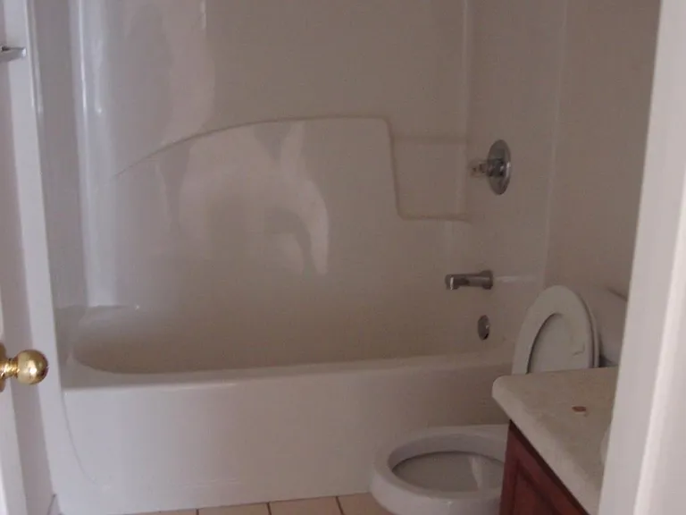 880 Dunwoody Pl — Photo 5