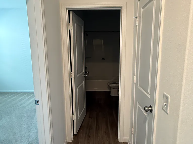 26334 Cedar Sedge Dr — Photo 20