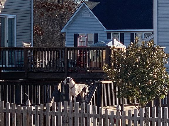2nd image of 8271 Christopher Paul Dr