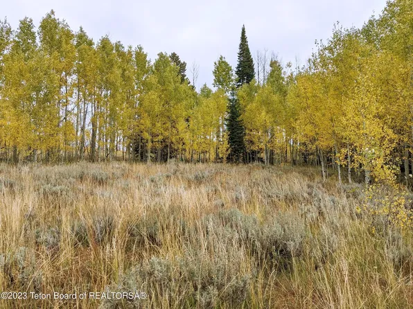 10 Tornado Ln, Daniel, WY 83115