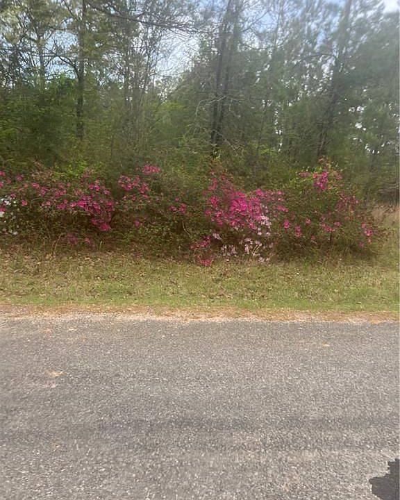 1st image of 0 Ian Johnson Rd