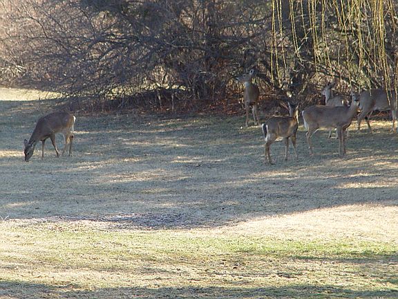 Some of friendly Visitors