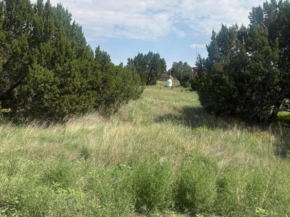 31 Commercial Dr, Concho, AZ 85924