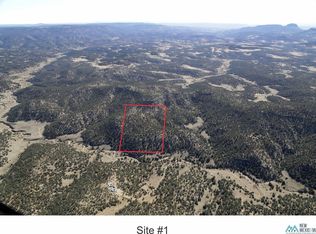 Goat Ranch Rd, Pie Town, NM 87827