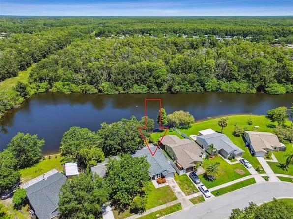 1232 Holly Cir, Oldsmar, FL 34677