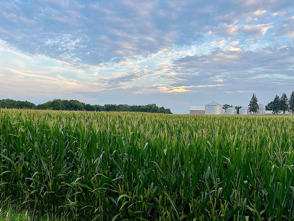 2567 Jasper Ave, Letts, IA 52754 Zillow