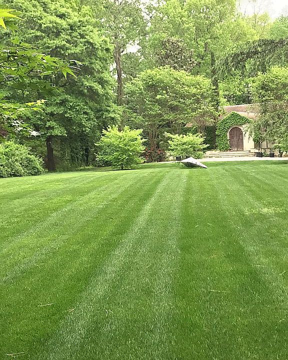 2nd image of 505 Forest Hills Rd NW