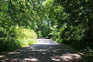 Rented by Keller Williams Realty Group