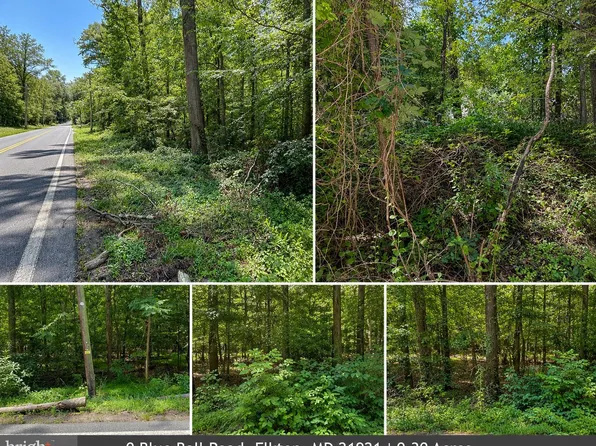 0 Blue Ball Rd, Elkton, MD 21921