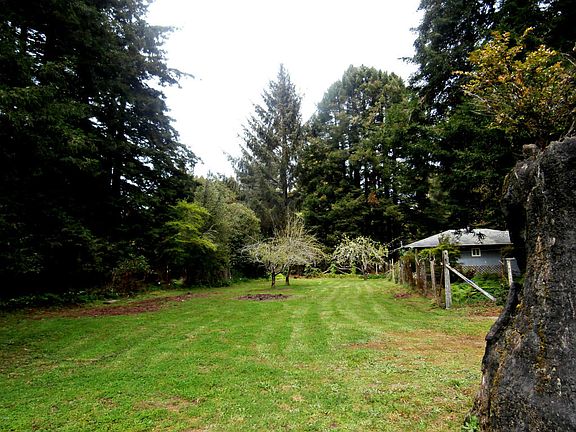 5th image of 32101 O'Bayley Dr