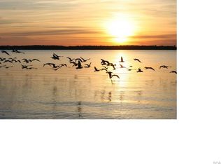 35699 Central Park Cir, Dagsboro, DE 19939