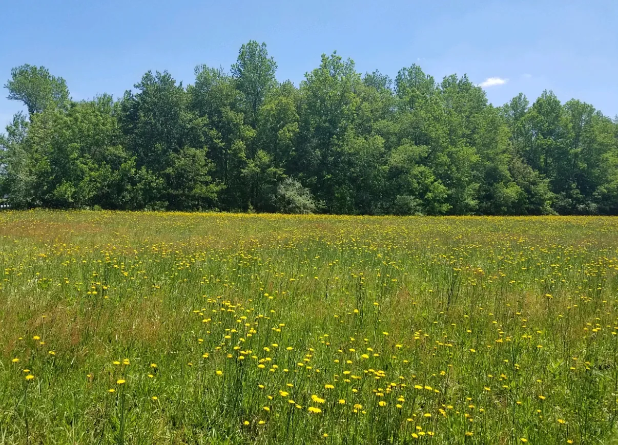 Wheat Rd, Buena — Photo 2