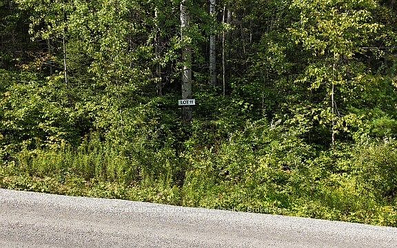 2nd image of LOT 11 Fox Run