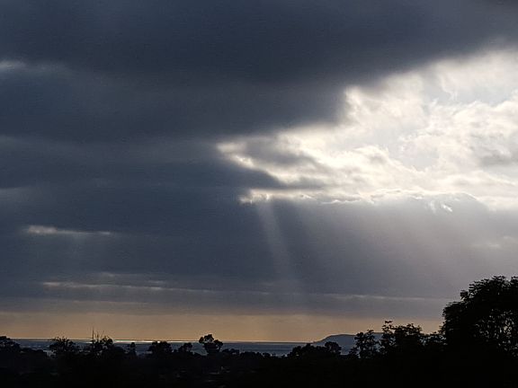 Pt Loma from Backyard