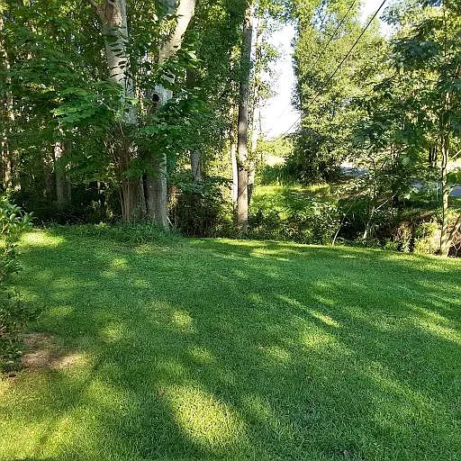 3 bed, 1164 sqft, $1,550 — Photo 2