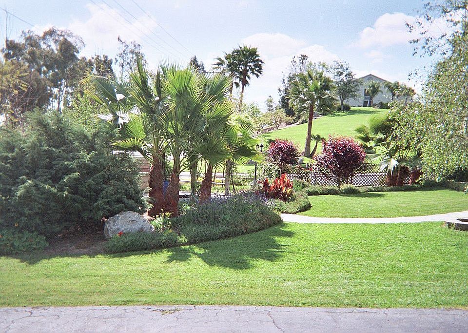 front yard