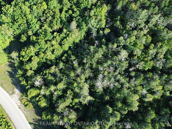 5th image of 624 Snowdons Corners Rd