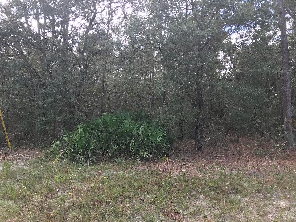 2nd image of 109 Hernando Dr