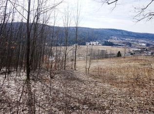 Charlotte Valley Rd, Summit, NY 12175