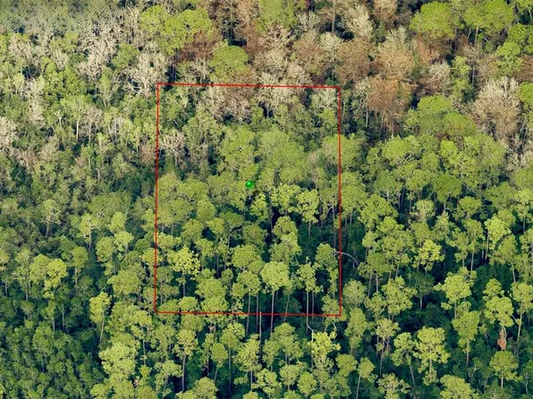 LOT 7120-01-12-0 Three, Lake Helen, FL 32744
