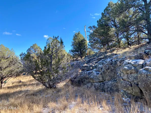 1441* E ALIMOS Way #137, Williams, AZ 86046